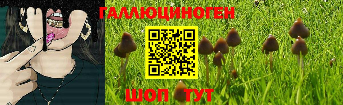 Черняховск  купить наркотик  Вход с VPN  Псилоцибиновые грибы Magic Shrooms 