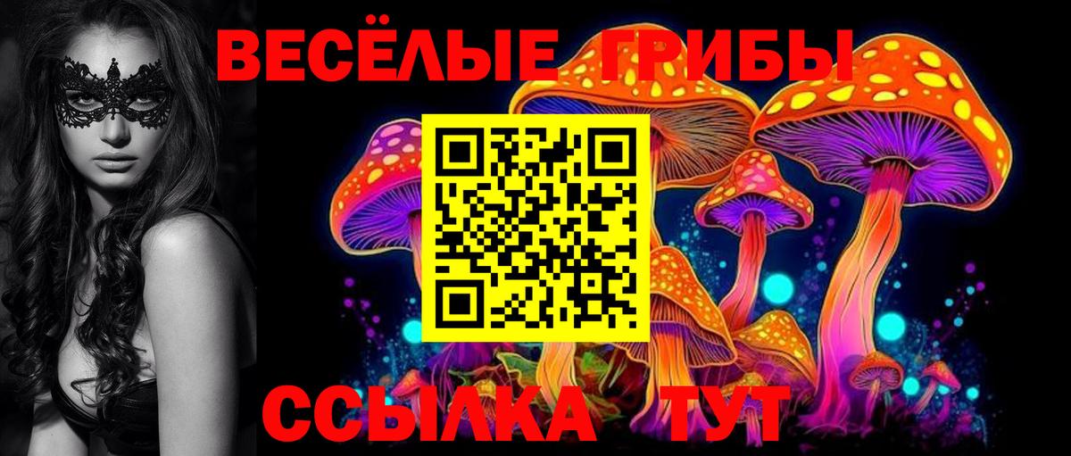 Галлюциногенные грибы Magic Shrooms Черняховск